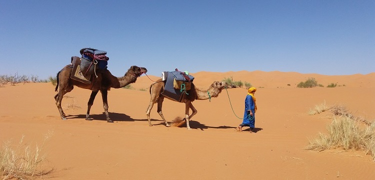 Fez Desert tour via Merzouga 3 days 2 nights